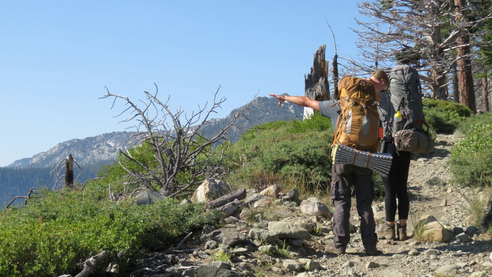 freiwilligenarbeit-usa-kalifornien-erfahrungsbericht-naturschutz-kundenfotos-ausblick-natucate