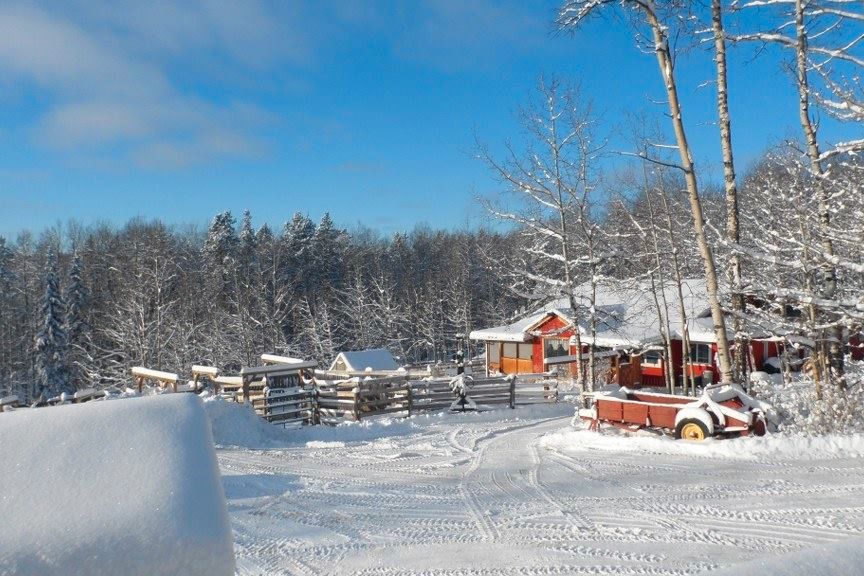 Verschneidte Farm