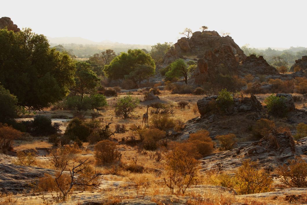 Aussicht auf die afrikanische Naturlandschaft waehrend eines Ausflugs des Rangerkurses