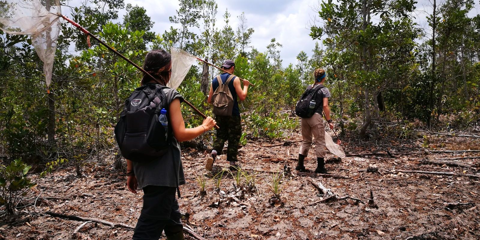 Volunteers in Borneo being involved in protecting Sabangau's pristine nature and species