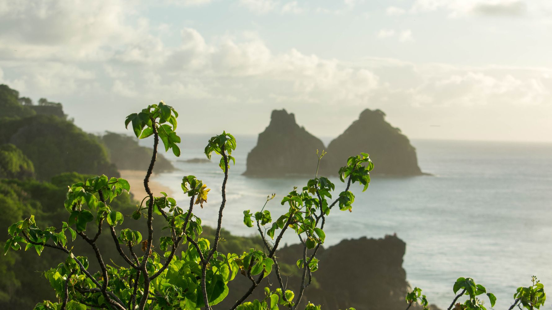 From the coast of Brazil we look at your archipelago. In the foreground are green branches