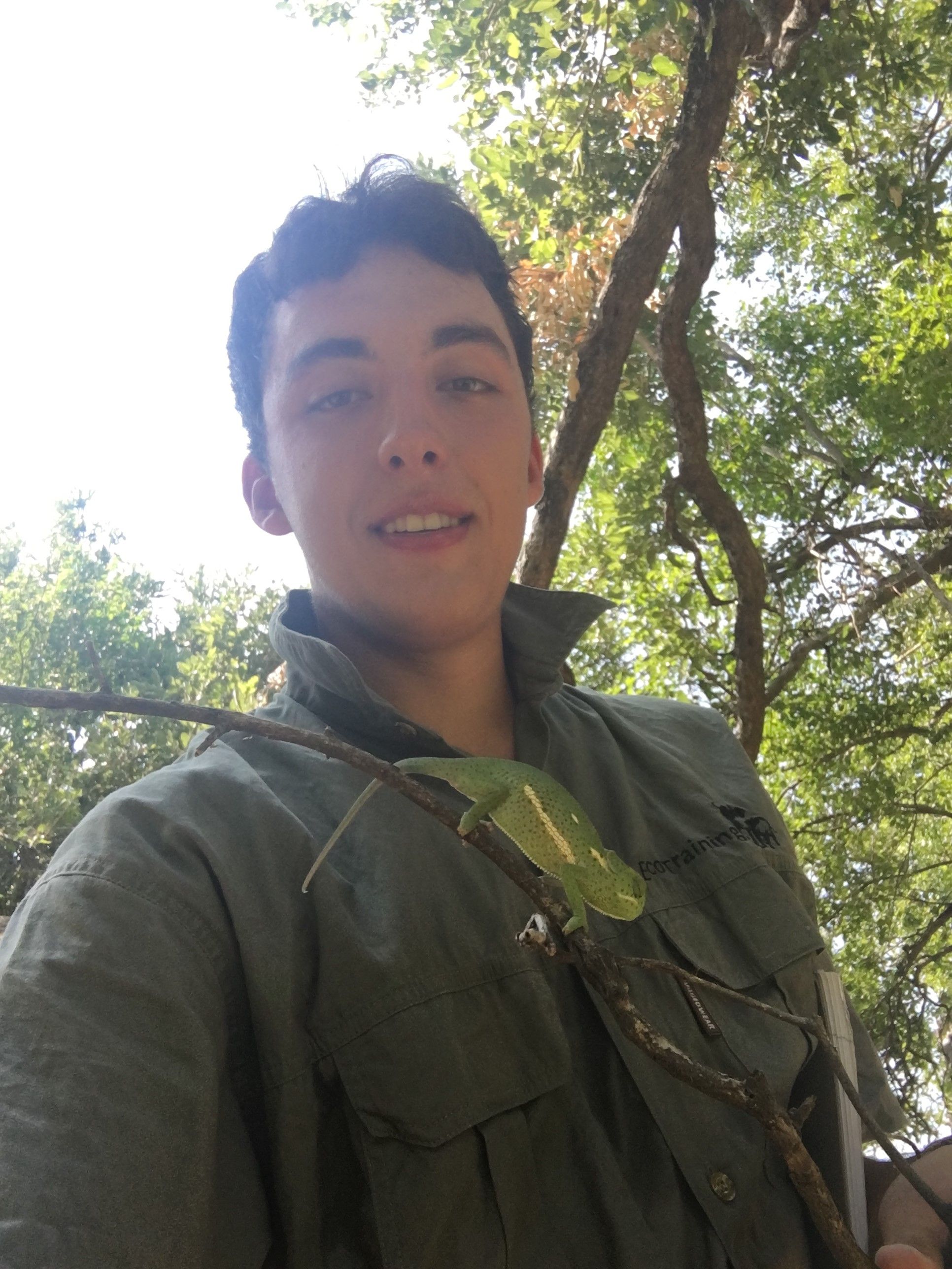 Review Field Guide Level 1 Tom ⋅ Natucate