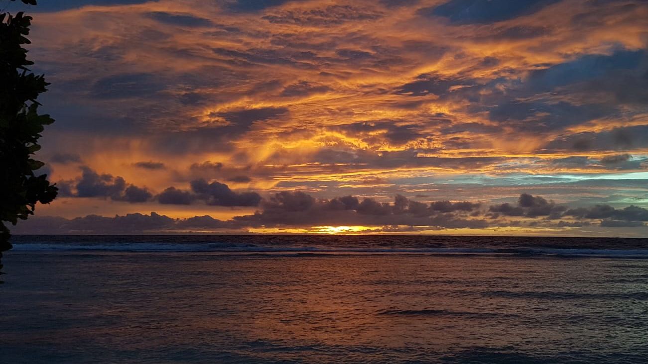 erfahrungsbericht-freiwilligenarbeit-walhaischutz-malediven-sara-sonnenuntergang-natucate
