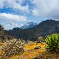 uganda-laenderinformation-rwenzori-gebirge-landschaft