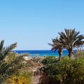 Attica region in Greece: Palm trees, blue sky and the ocean
