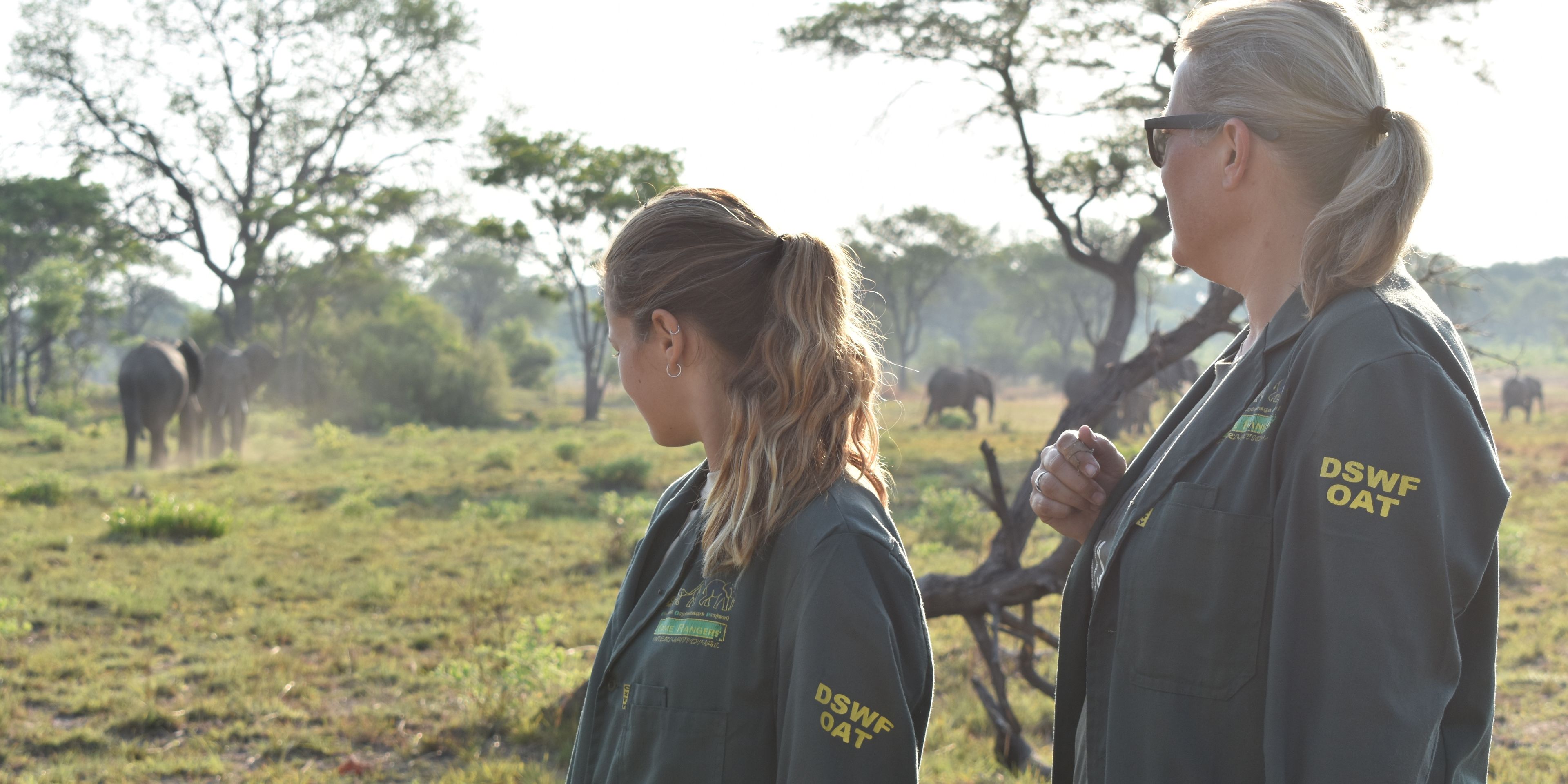 Zwei Freiwilligenhelfer des Elefantenprojekts in Sambia stehen zusammen und beobachten mehrere Elefanten