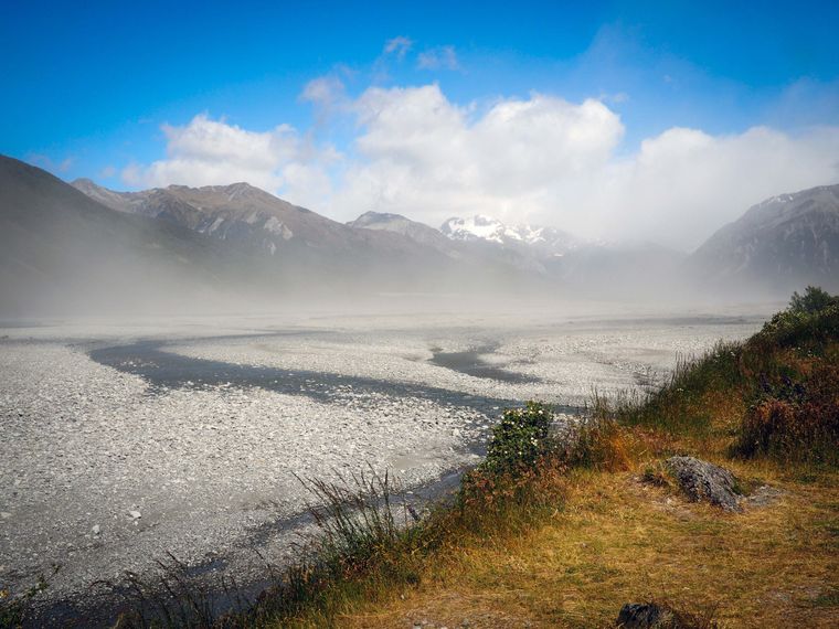 erfahrungsbericht-freiwilligenarbeit-naturschutz-neuseeland-nancy-landschaft-gras-natucate