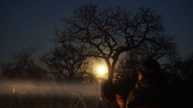 erfahrungsberichte-suedliches-afrika-fgl1-rangerausbildung-nacht-natucate
