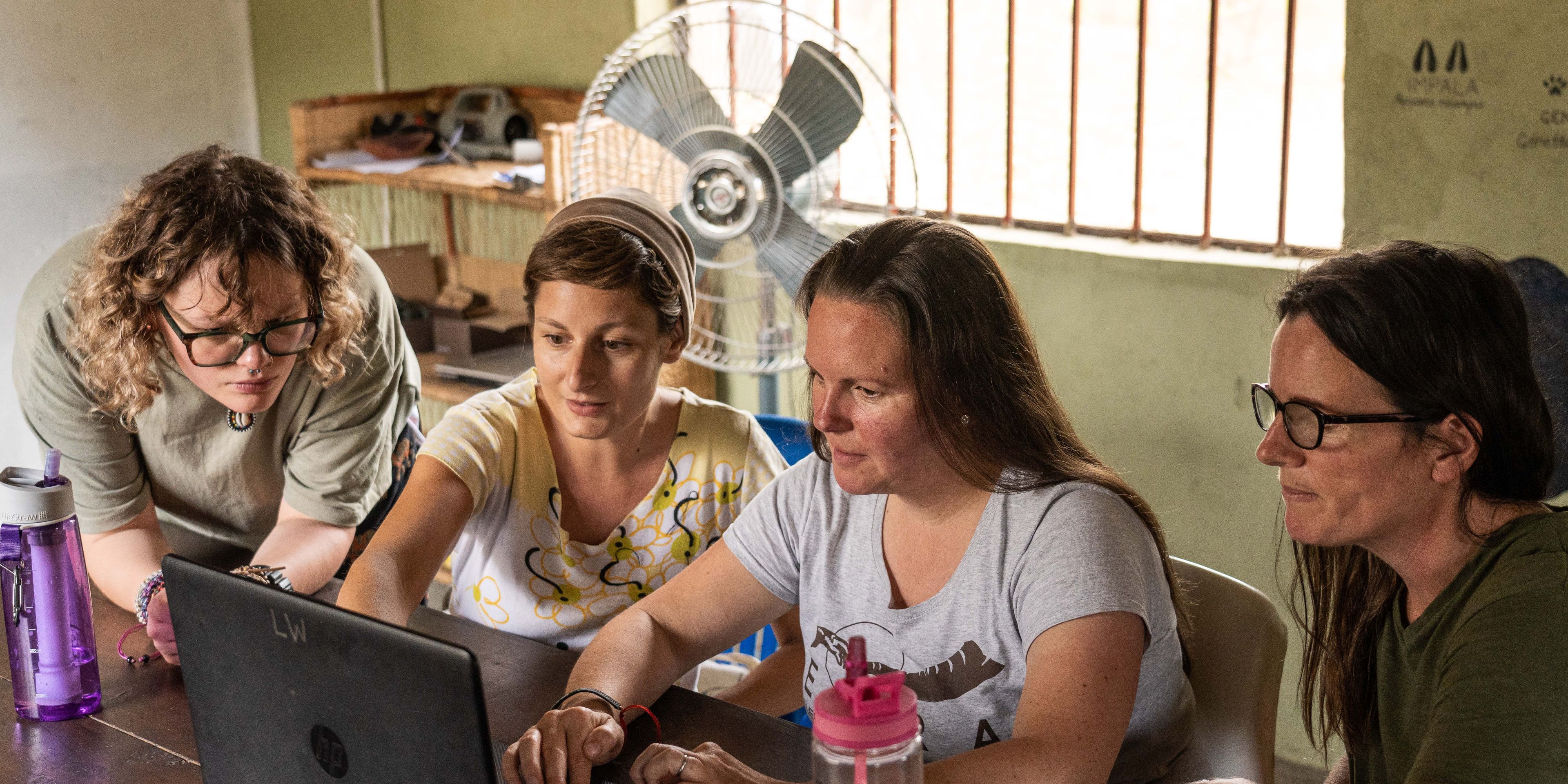 natucate-volunteering-malawi-wildlife-monitoring-volunteers-research-laptop