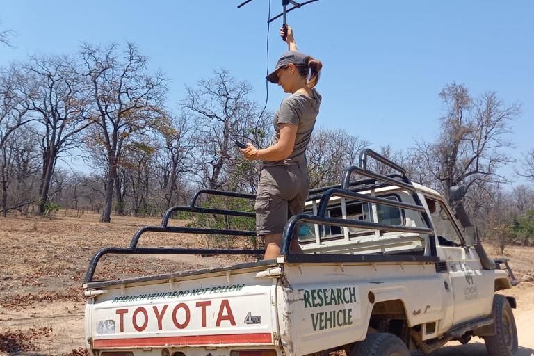 natucate-volunteering-malawi-wildlife-monitoring-volunteer-research-park