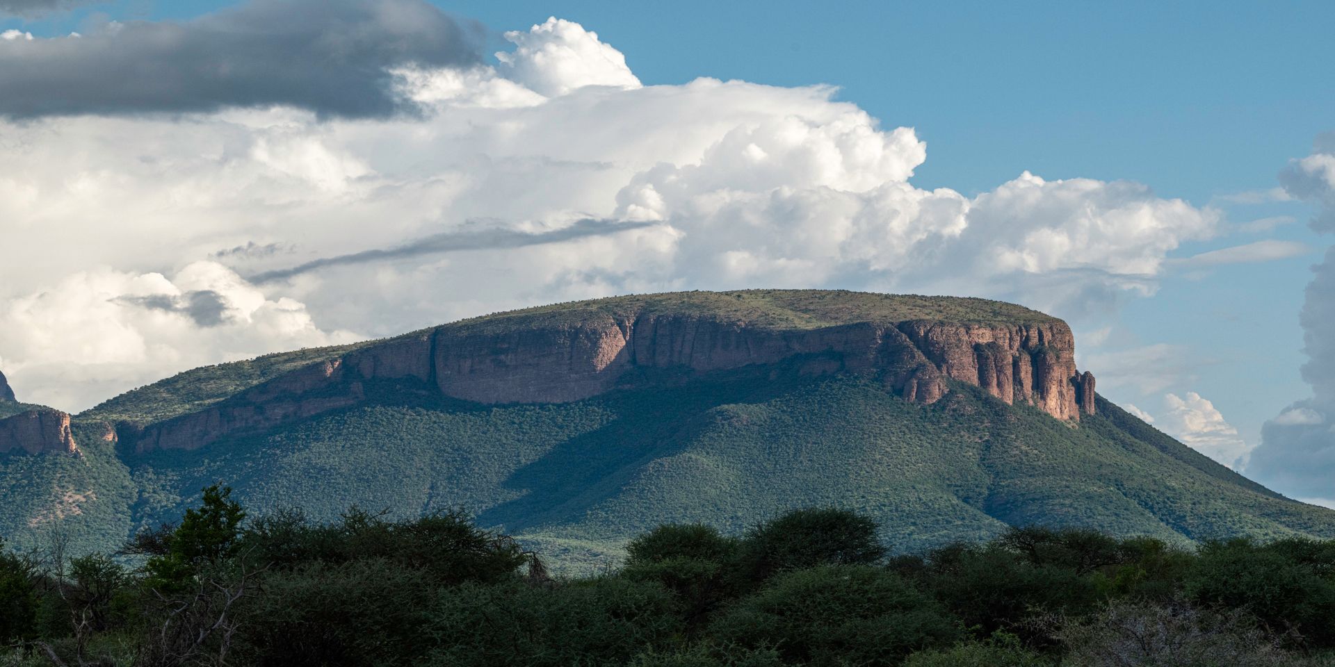 natucate-volunteering-south-africa-marataba-region-waterberg