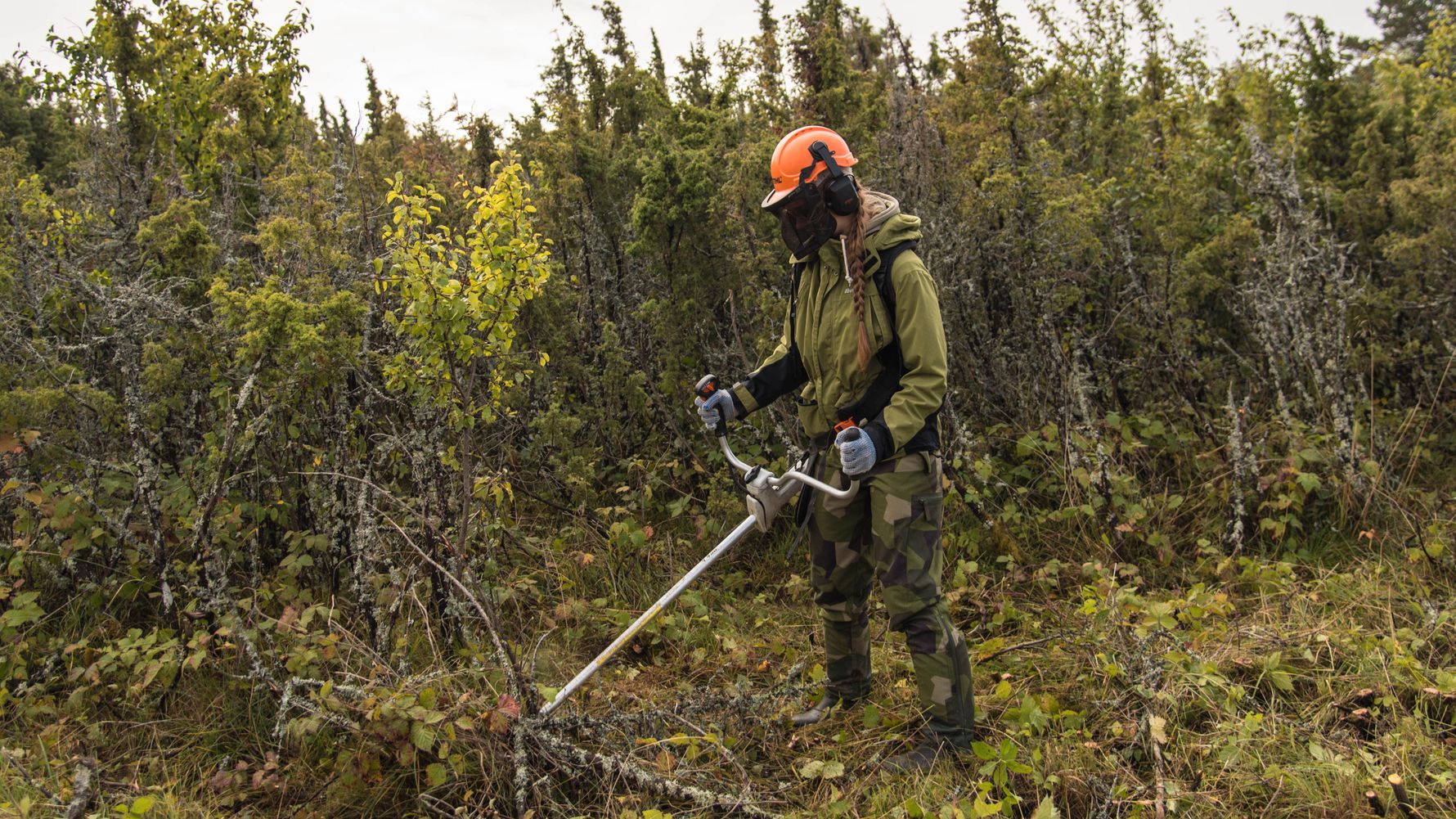 Freiwilligenarbeit Estland: Freiwillige bei Naturschutz-Arbeiten in Estland