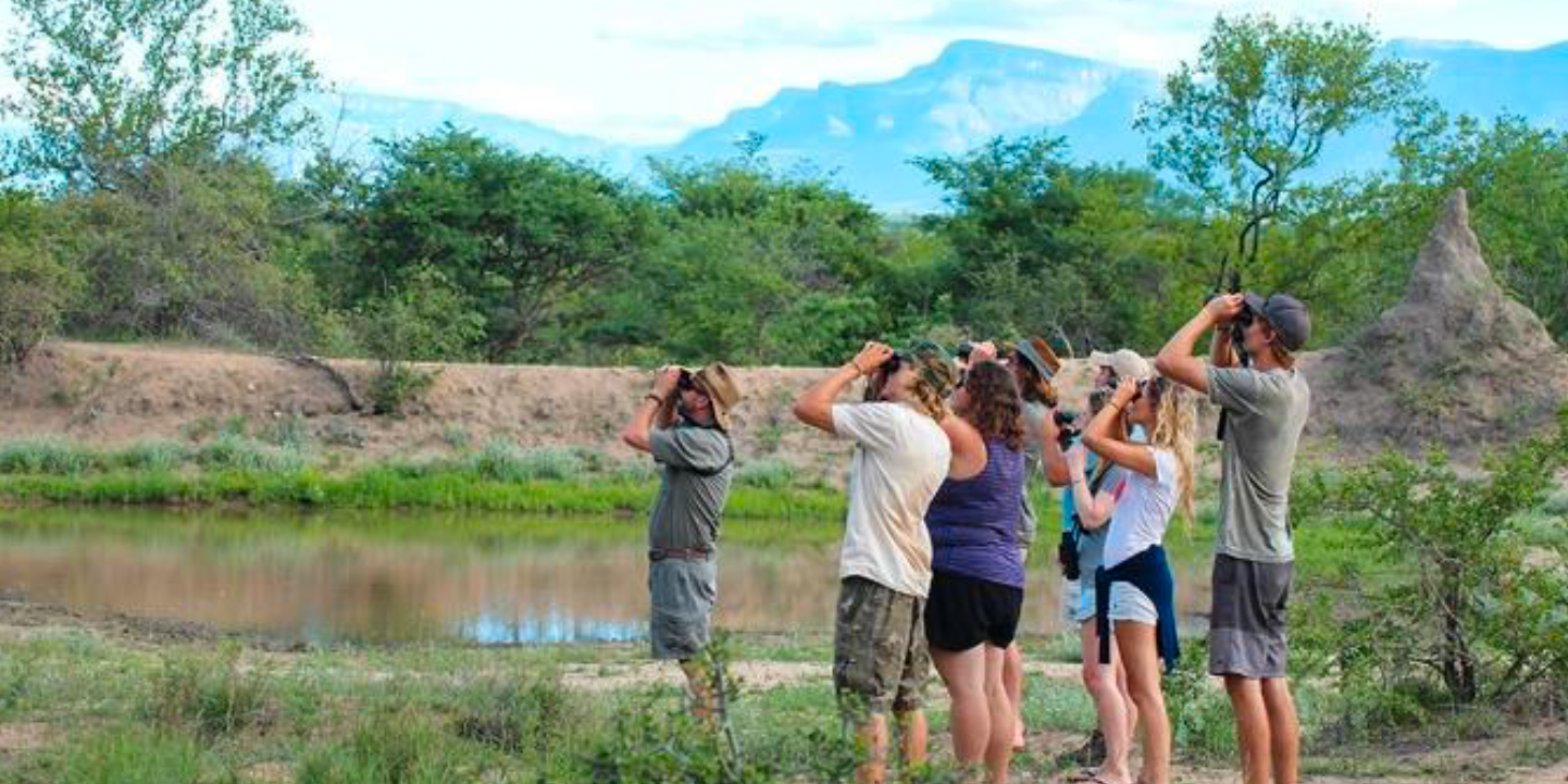 Activity in Karongwe Area