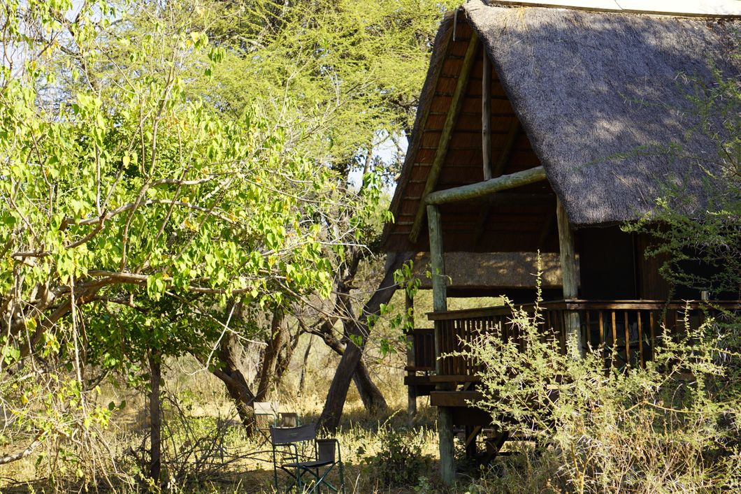 Die Lodges eines angrenzenden Camps dienen den Teilnehmern des Natur- und Rangerkurses als Unterkunft