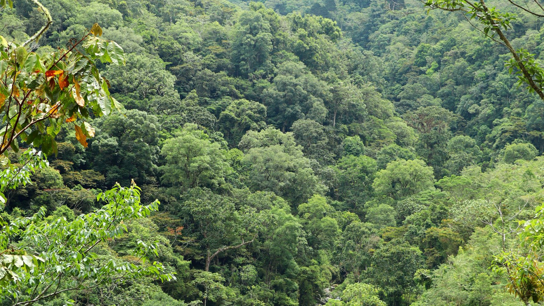 erfahrungsbericht-freiwilligenarbeit-costa-rica-forestconservation-lennart-river-2-natucate