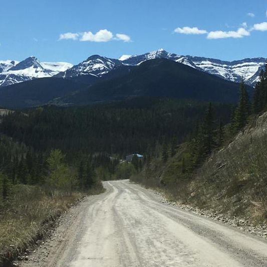 erfahrungsbericht-freiwilligenarbeit-kanada-alberta-pferdeschutz-anna-gebirge-natucate