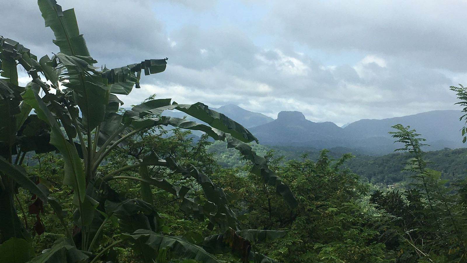 freiwilligenarbeit-sri-lanka-erfahrungsbericht-regenwald-artenschutz-natucate