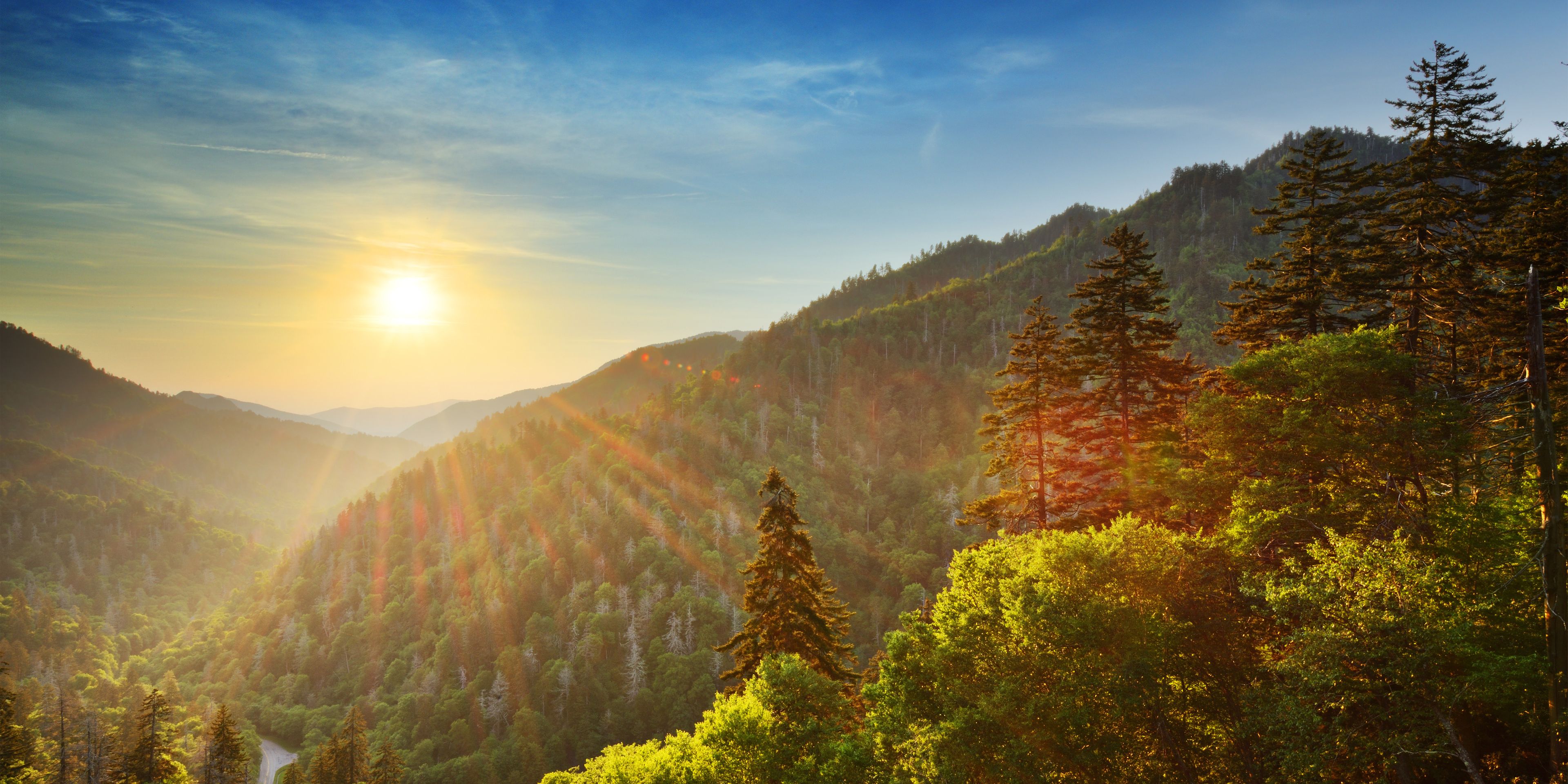 Conservation work in the USA: Green forest hills in North Carolina are covered in sunlight