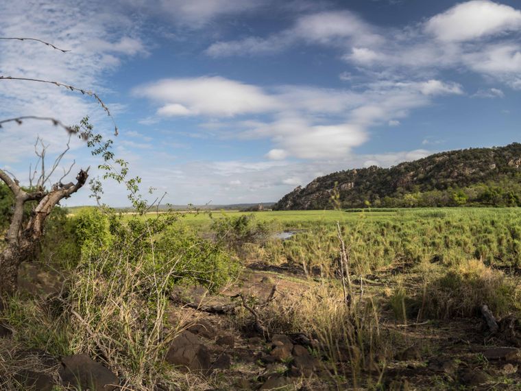 blog-ratgeber-suedafrika-kruger-nationalpark-savanne-natucate