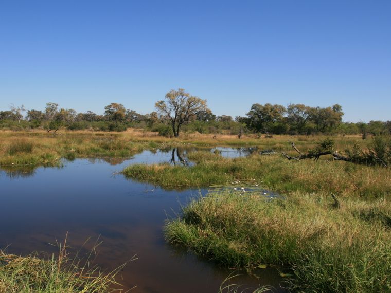 blog-ratgeber-botswana-khwai-konzession-wasser-natucate