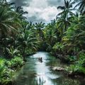 Dschungel auf der Philippinen-Insel Siargao, die besonders beliebt bei Surfern und anderen Wassersportlern ist