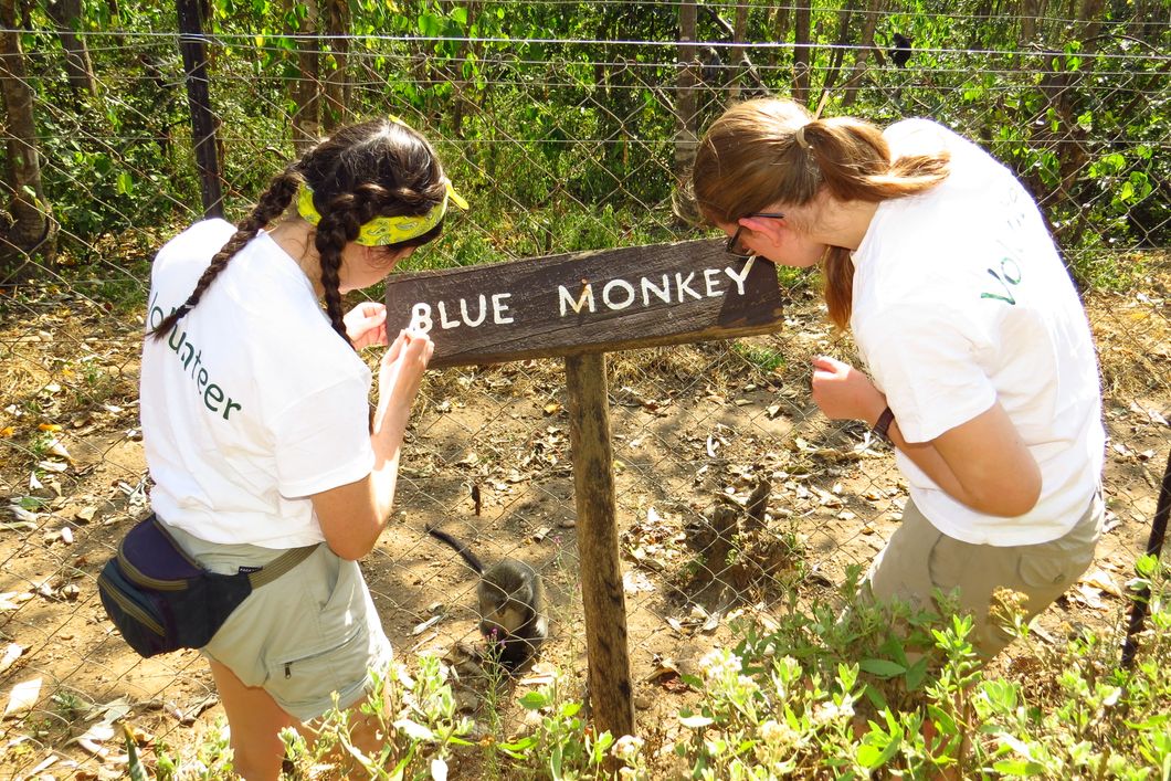 natucate-volunteering-malawi-sanctuary-maintenance-work