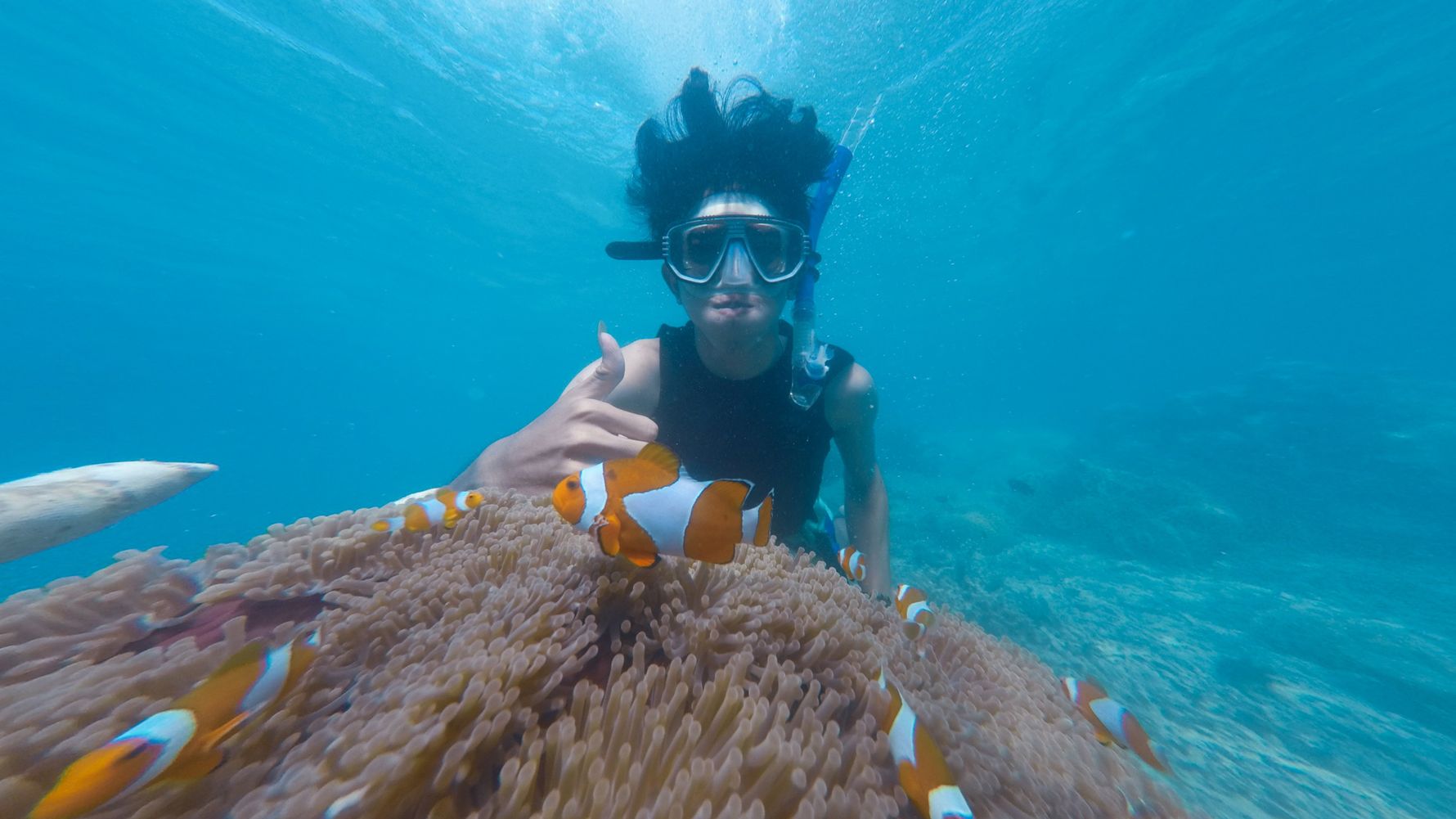 Artenschutz-Volunteer bei Unterwasser-Aktivitaeten vor der Kueste von Mauritius