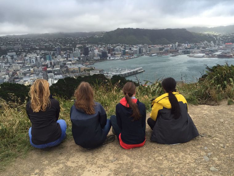 Freiwilligenarbeit in Neuseeland: Vier Volunteere sitzen auf erhoeter Position mit Blick auf Hafen und Stadt von Wellington