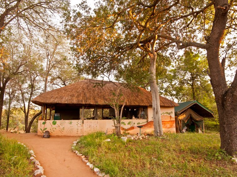 blog-camp-selati-wandbemalung-unterrichtsraum-natucate