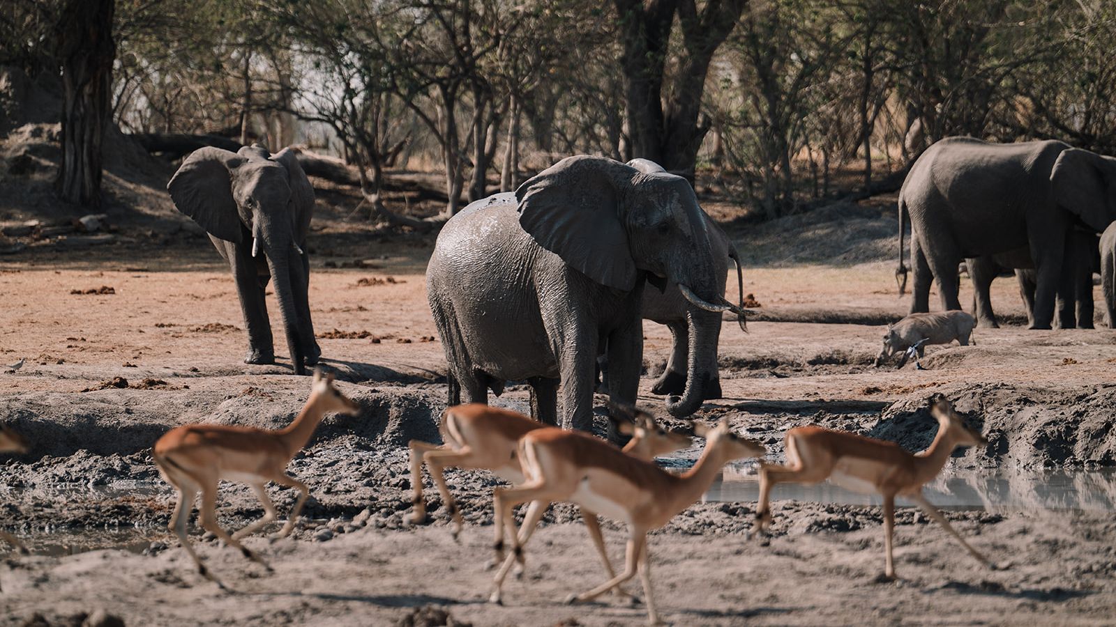 natucate-blog-pr-trip-alice-water-source-animals