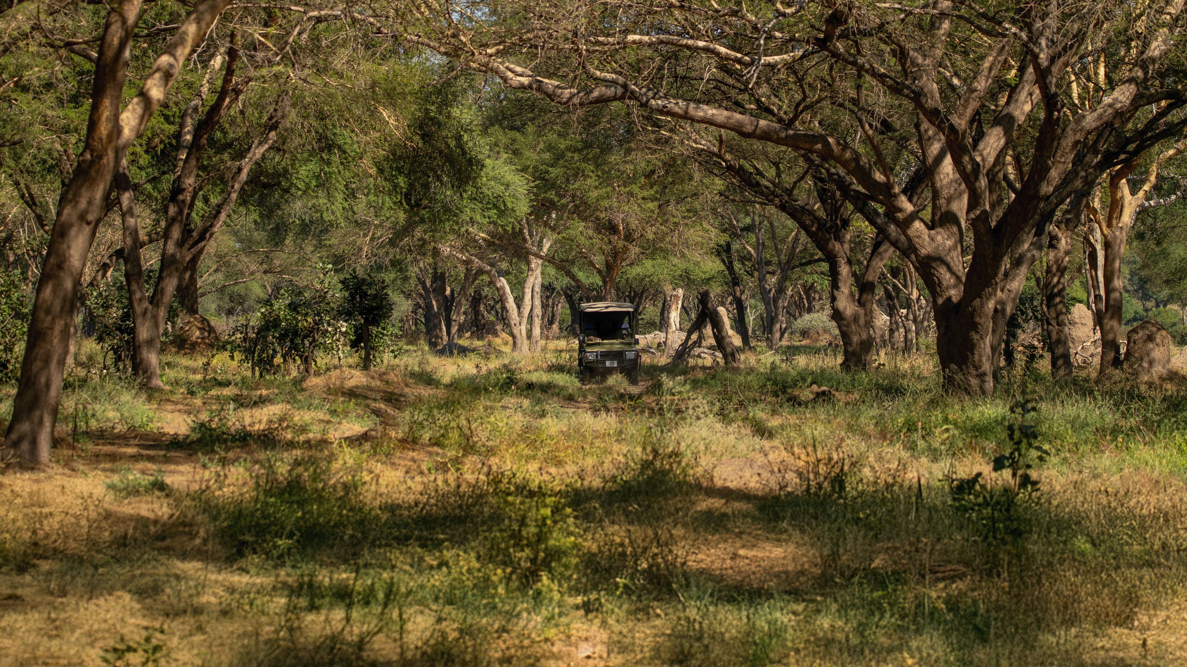 natucate-pwe-tanzania-usangu-game-drive-hero