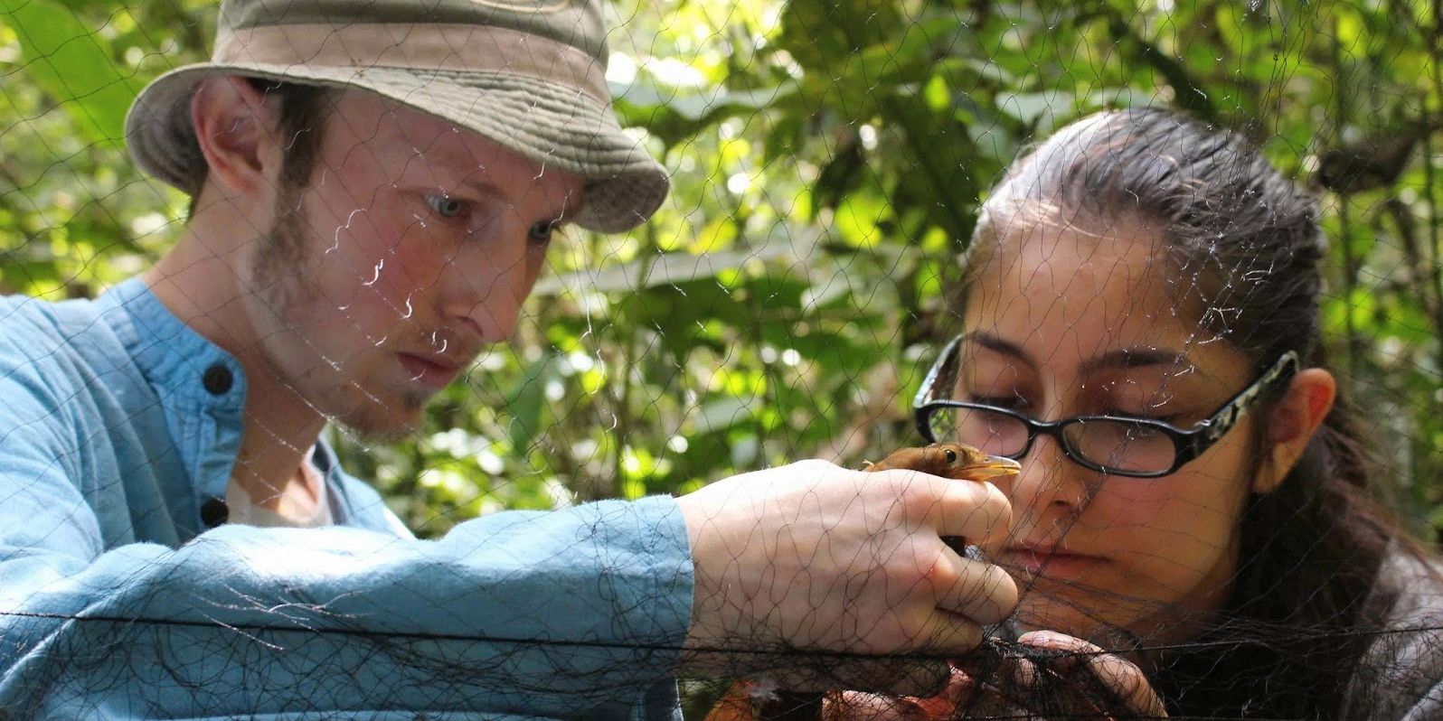 Grosse Netze werden von Auslandspraktikanten angebracht, um Voegel zu erforschen