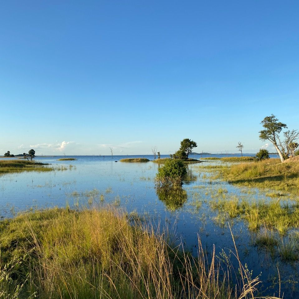 Ein Gewässer, in dem sich umliegende Pflangen spiegeln und ein blauer Himmel