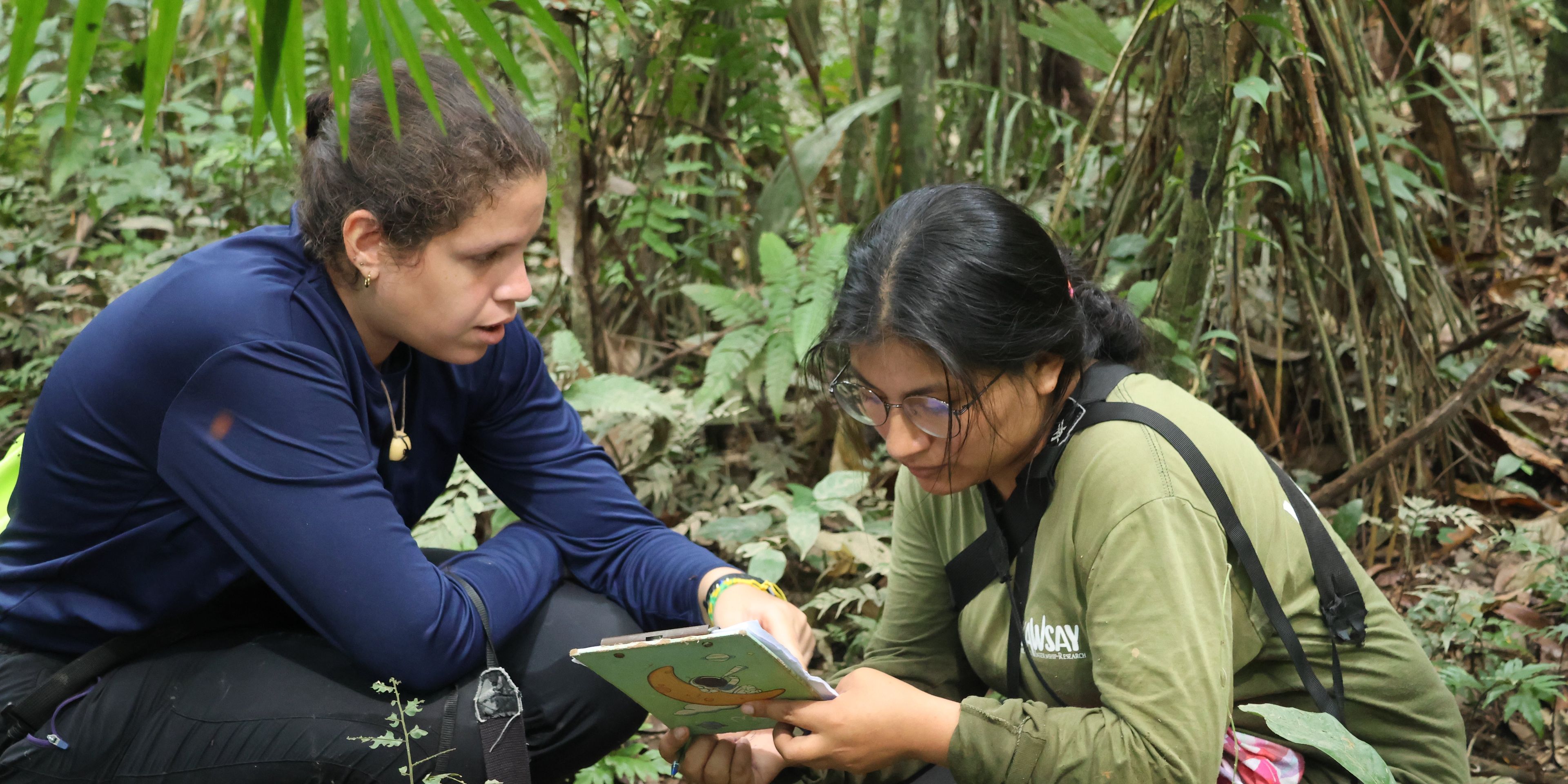 natucate-freiwilligenarbeit-peru-rainforest-identification-plants