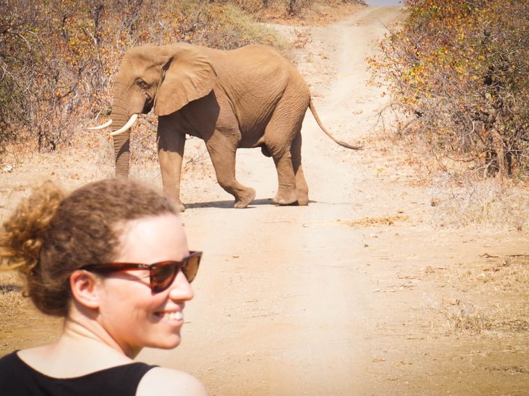 blog-ratgeber-gruende-fuer-ein-auslandsjahr-elefant-natucate