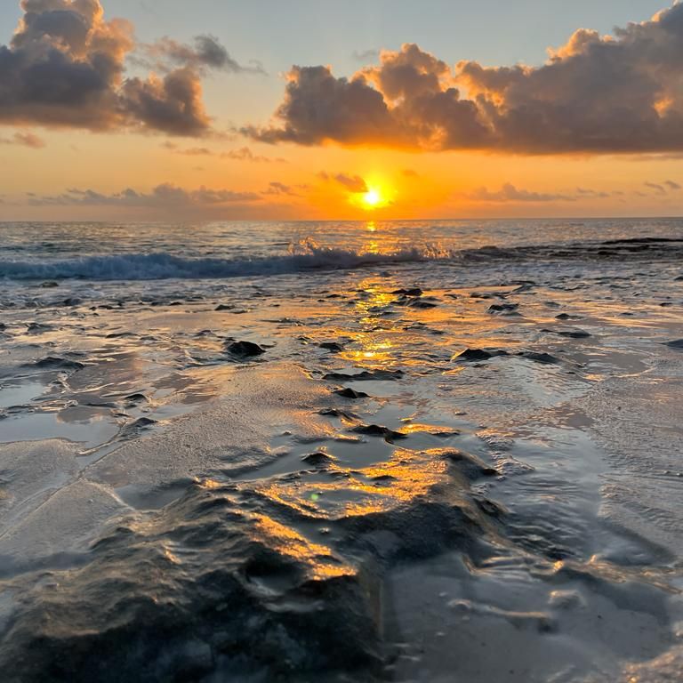 natucate-erfahrungsbericht-seychellen-north-island-sybille-sonnenuntergang-strand