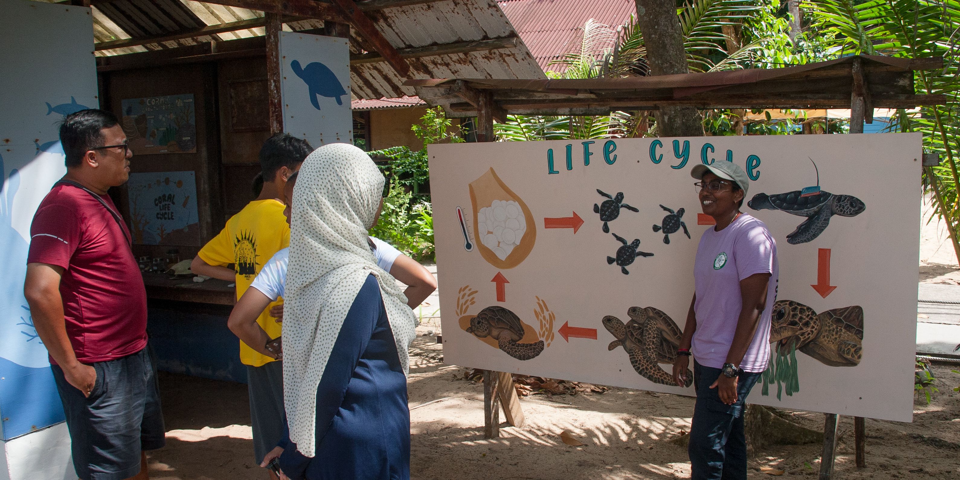 Poster zu "Lifecycle of a turtle"