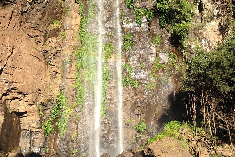 naturreise-koalaschutz-australien-natur-wasserfall-artenschutz-natucate