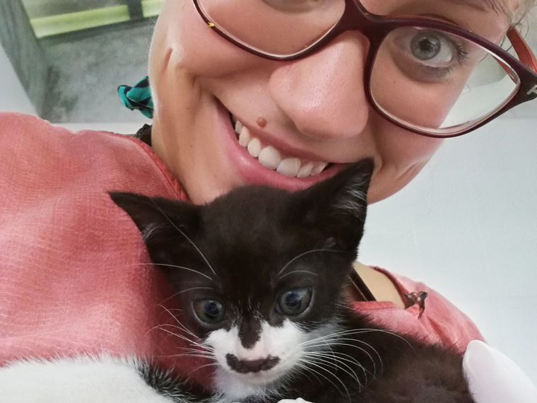 Tierschutz in Thailand: Eine Volunteer hat eine kleine Katze auf dem Arm