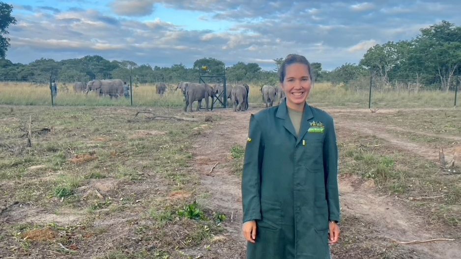 Nellie steht mit Abstand vor den Elefanten in Sambia