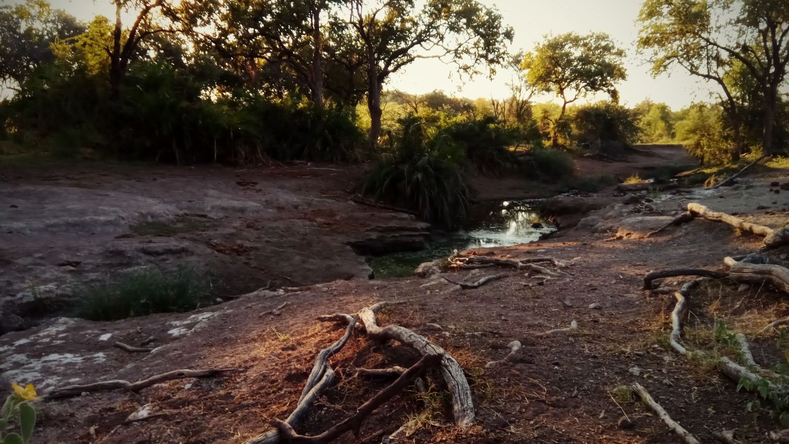erfahrungsberichte-suedliches-afrika-pfg-rangerausbildung-wildnis-natucate