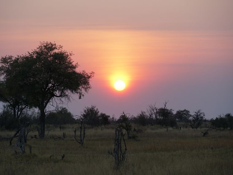 erfahrungsberichte-rangerkurse-botswana-field-guide-training-walter-sonnenuntergang-natucate