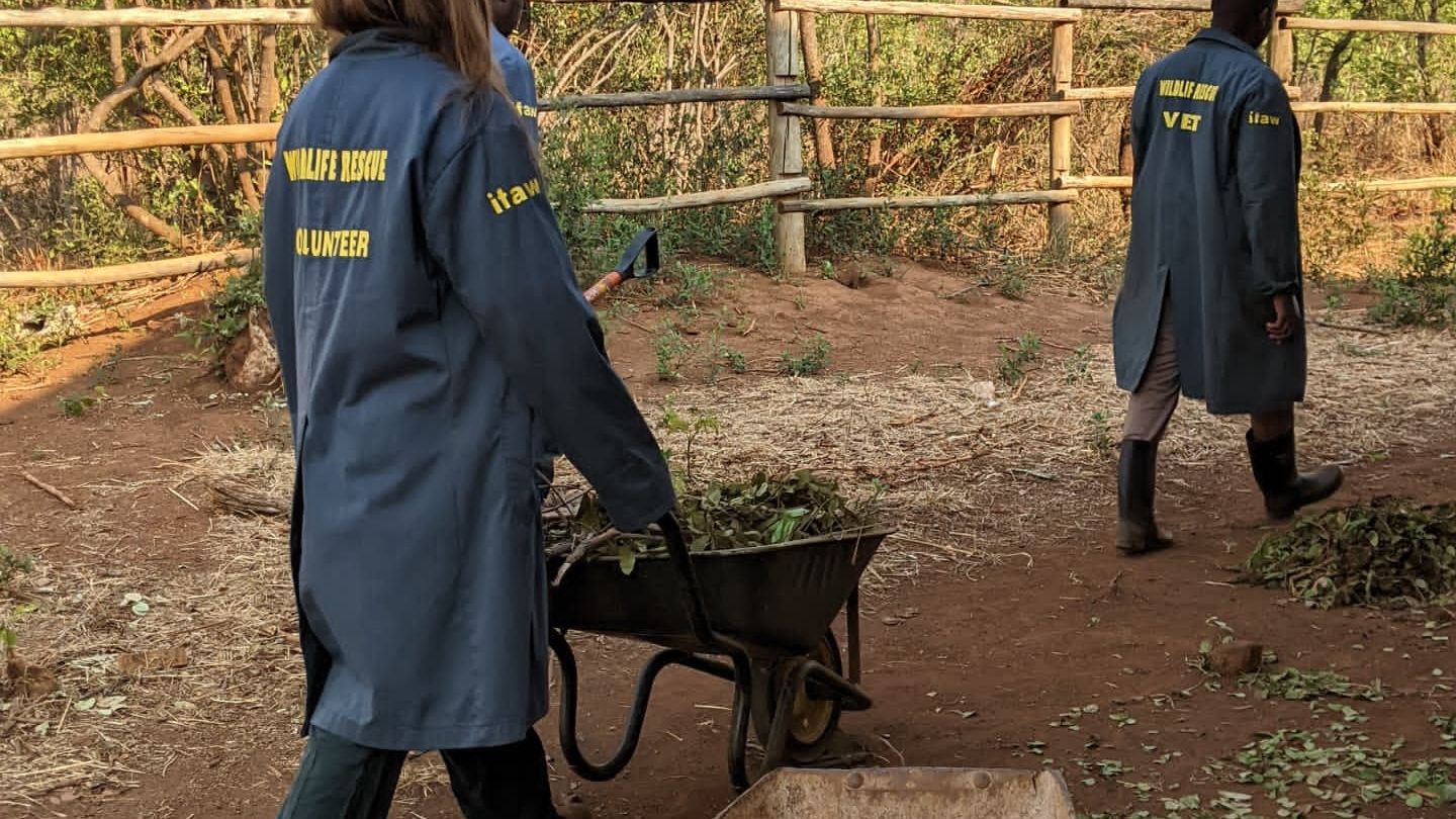 natucate-blog-review-sambia-klara-cleaning