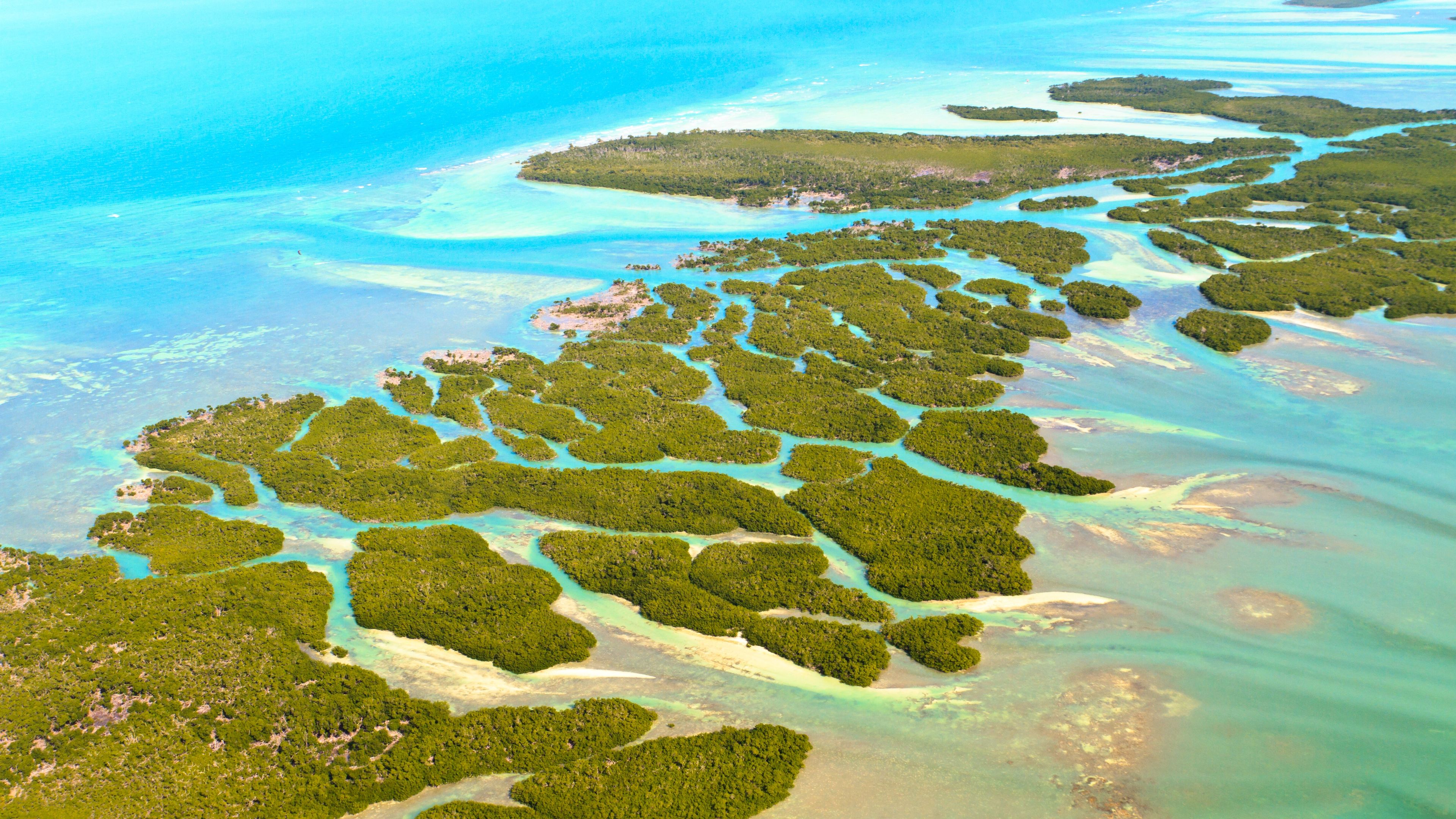 natur-und-rangerkurs-florida-usa-meeresforschung-marine-tropenforschung-inselnnatucate