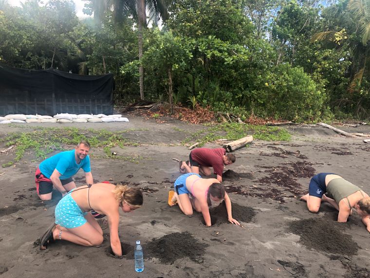 Fünf Freiwilligenhelfer knien im Sand und graben mit den Händen nach Schildkröteneiern am Strand von Costa Rica, um diese vor den Wilderern zu finden.