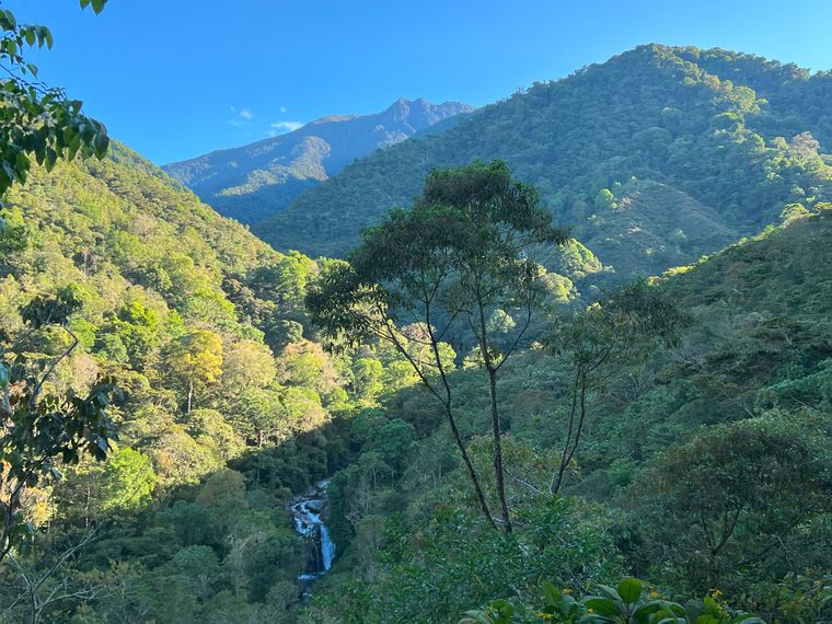 erfahrungbericht-jarne-freiwilligenarbeit-costa-rica-waldschutz-16