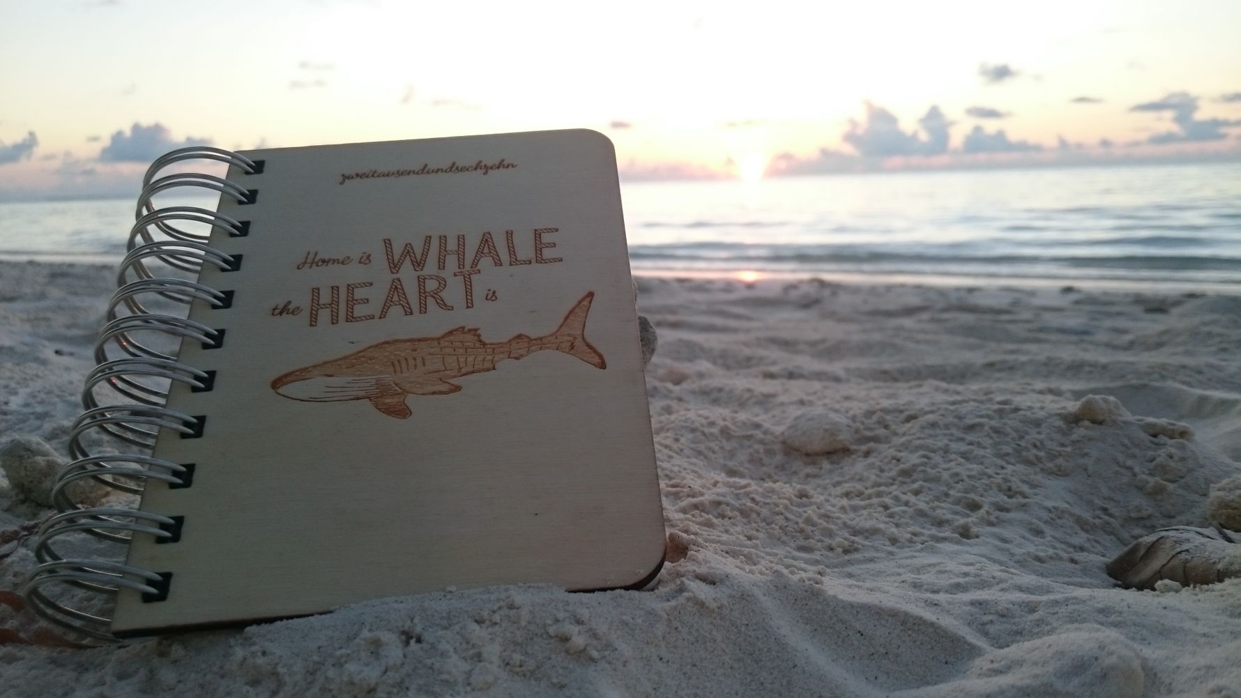 Artenschutz auf den Malediven: Ein Walhaibuch am Strand der Malediven