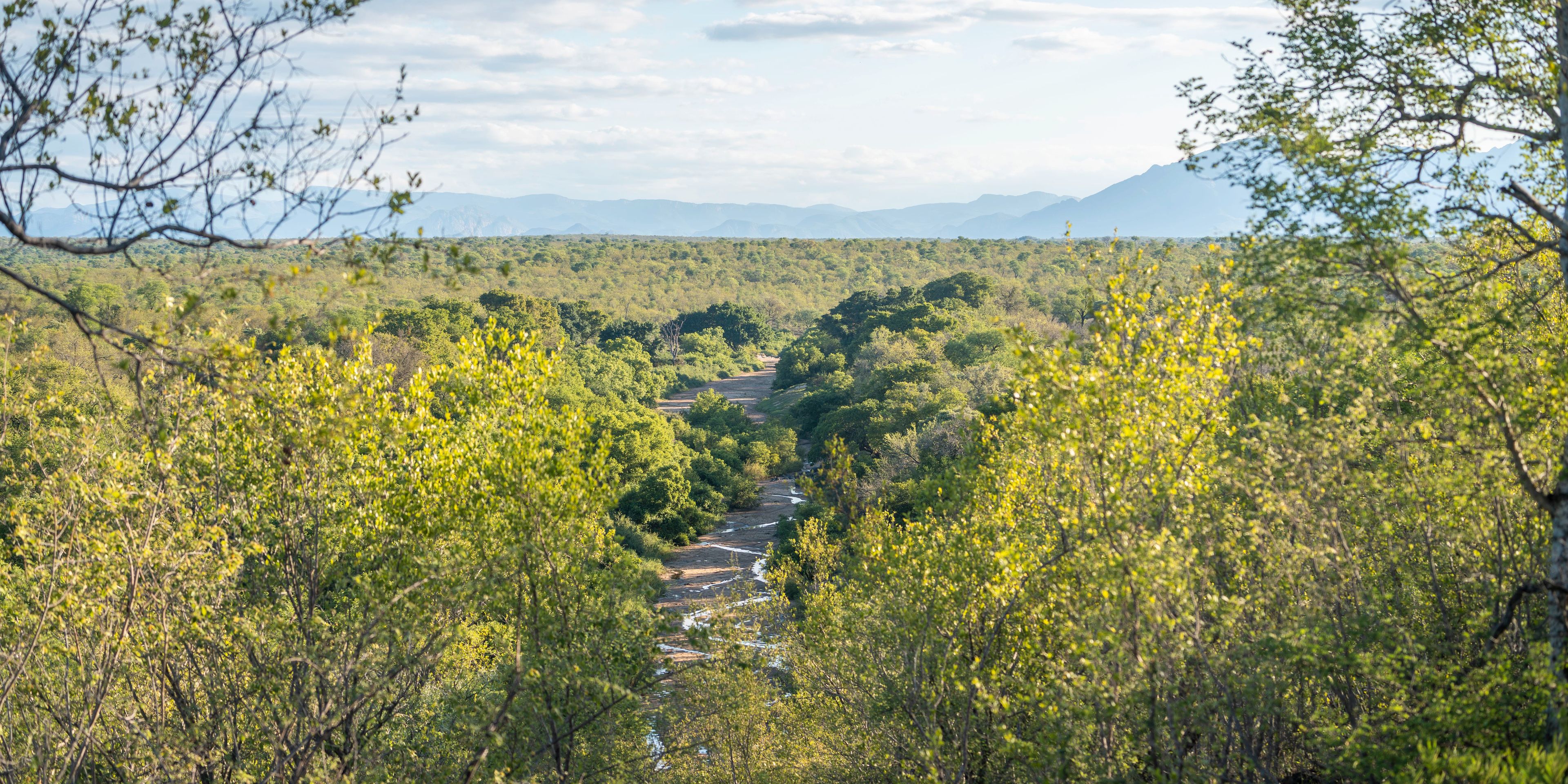 natucate-guide-course-bw-pfg-sabi-sabi-region