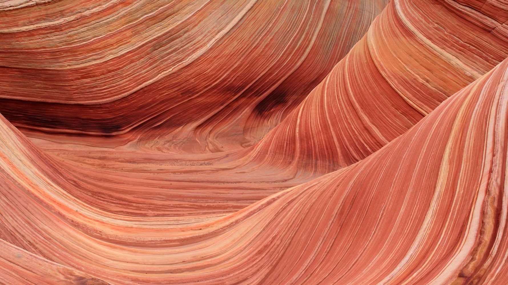 Sabbatical in Arizona: The Wave an den Coyote Buttes