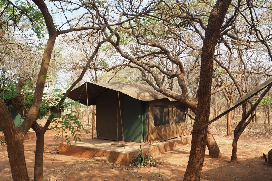 Volunteer-Zelt auf dem Gelaende des Elefantenschutzprojekts nahe Sambias Hauptstadt Lusaka